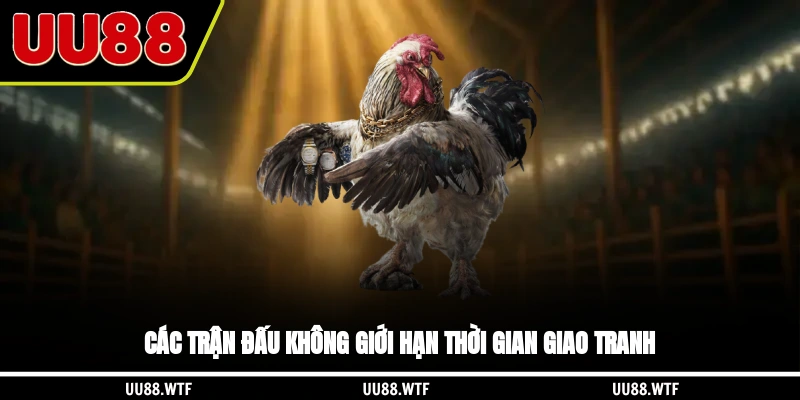 Các trận đấu không giới hạn thời gian giao tranh
