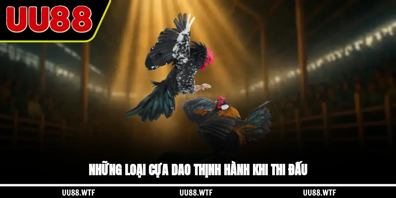 Những loại cựa dao thịnh hành khi thi đấu