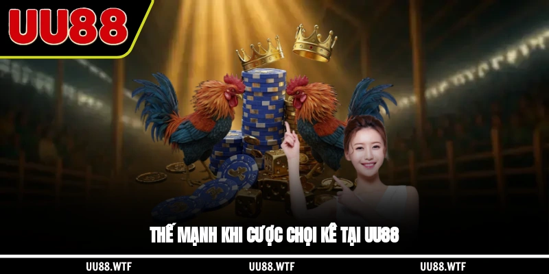 Thế mạnh khi cược chọi kê tại UU88