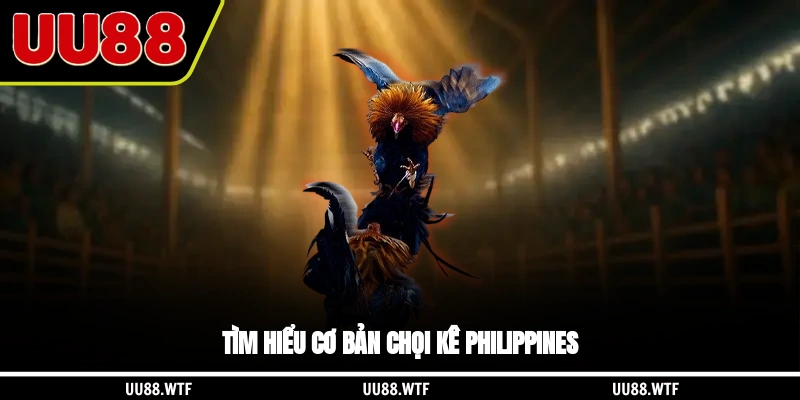 Tìm hiểu cơ bản chọi kê Philippines